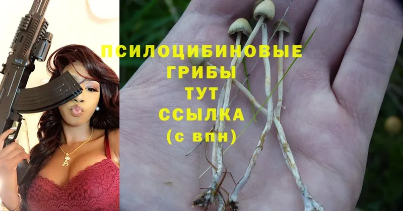 Галлюциногенные грибы GOLDEN TEACHER  где можно купить наркотик  Камышин 